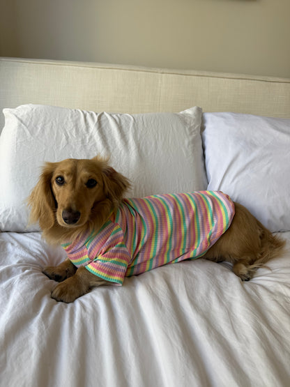 Sugar Rush Dog Shirt