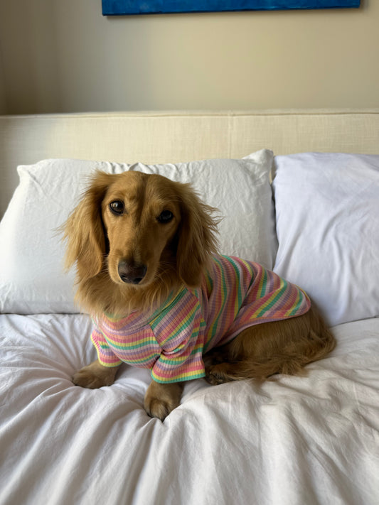 Sugar Rush Dog Shirt
