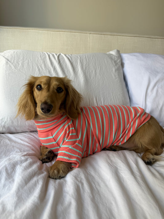 Coral Crush Dog Shirt