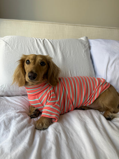 Coral Crush Dog Shirt