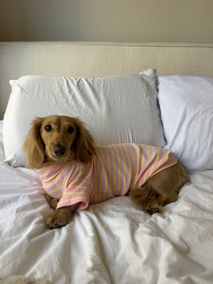 Sherbert Dog Shirt