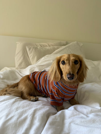 Maple Chestnut Dog Sweater