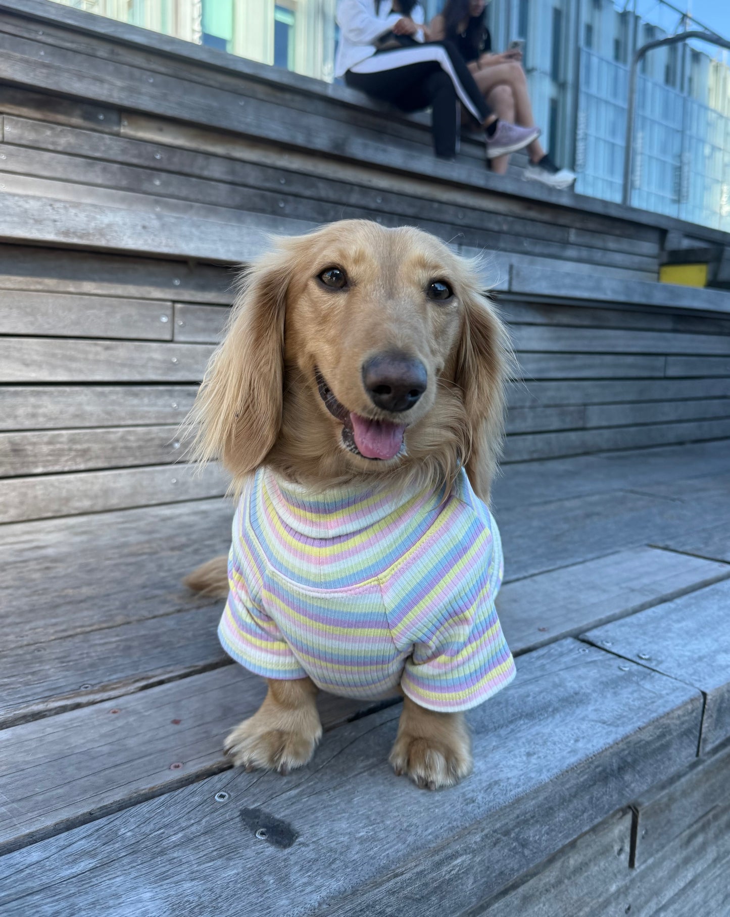 Cotton Candy Days Dog Shirt