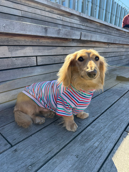 Groovy Stripe Dog Shirt