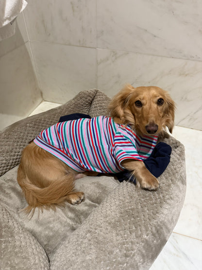 Groovy Stripe Dog Shirt