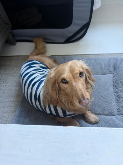 Coastal Blues Dog Shirt