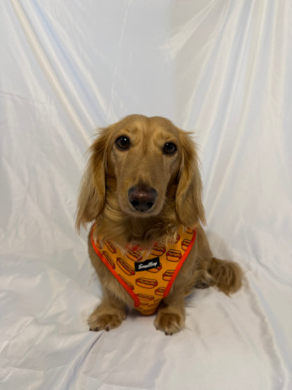 Hot Dog Harness