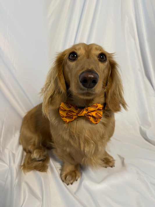 Hot Dog Bowtie