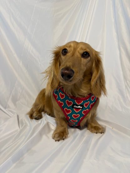 Sweetheart Harness