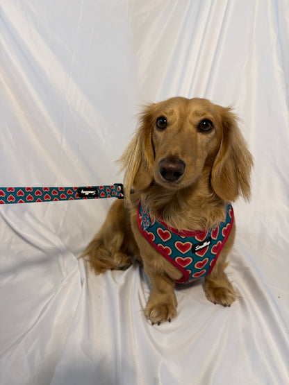 Sweetheart Harness