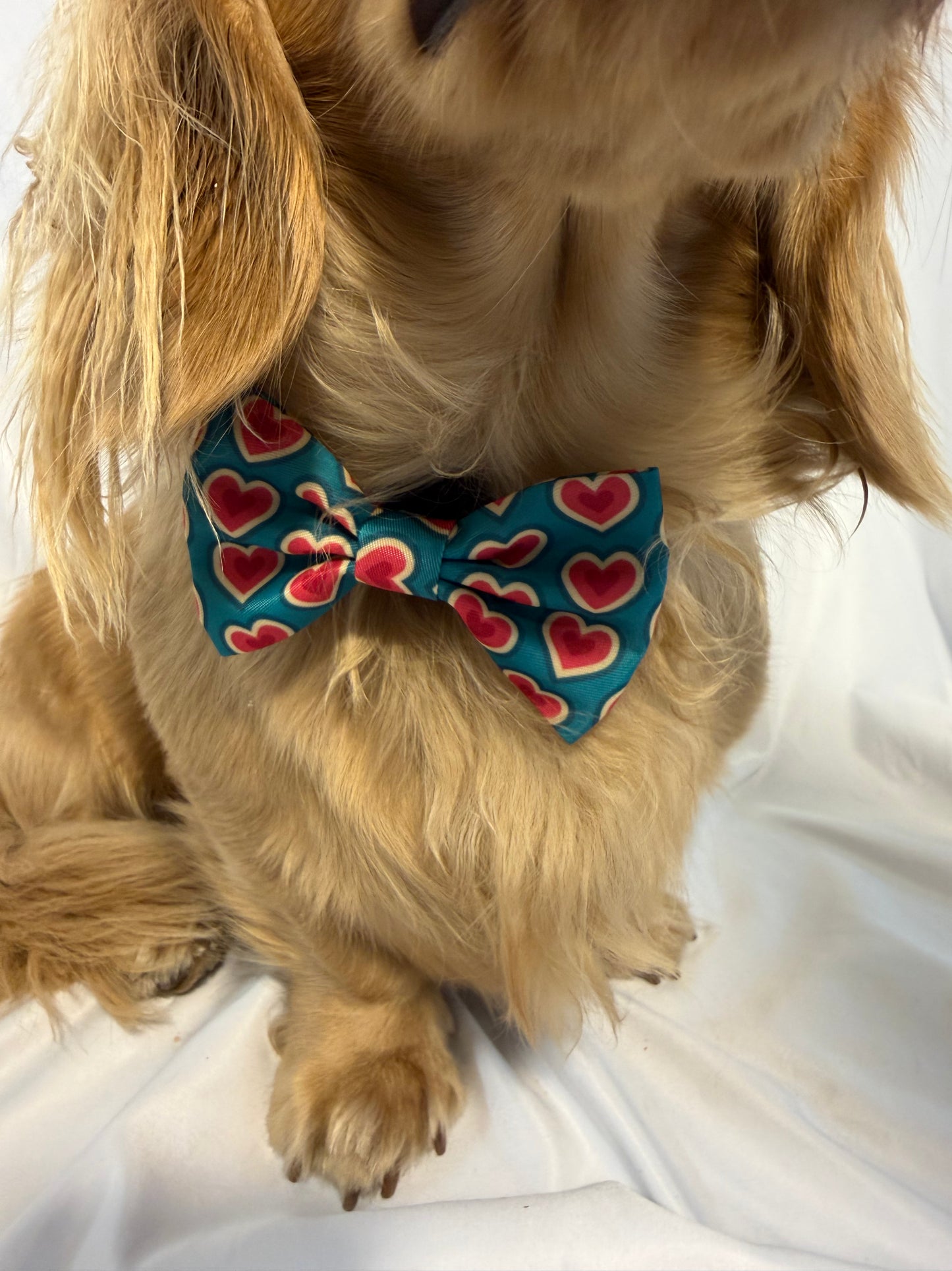 Sweetheart Bowtie