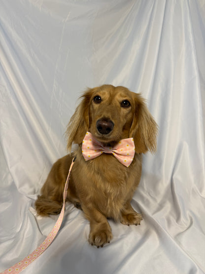 Daisy Daydream Bowtie