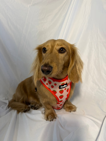 Sweet Strawberry Harness