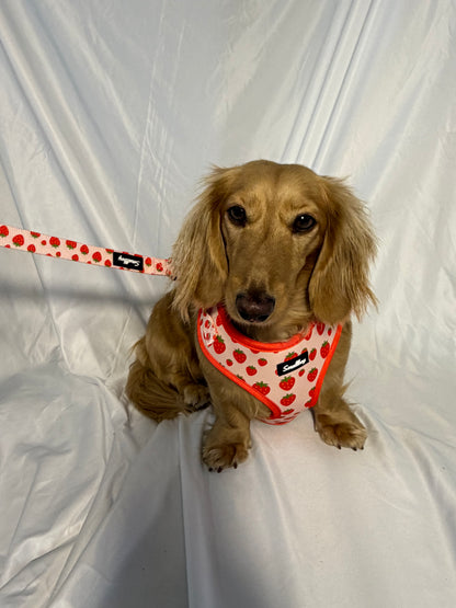 Sweet Strawberry Leash