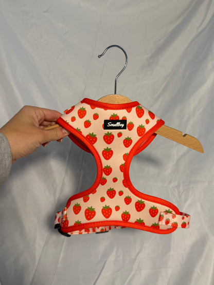 Sweet Strawberry Harness