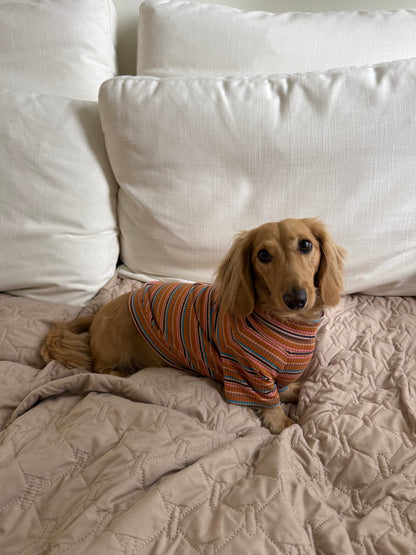 Cinnamon Swirl Dog Shirt