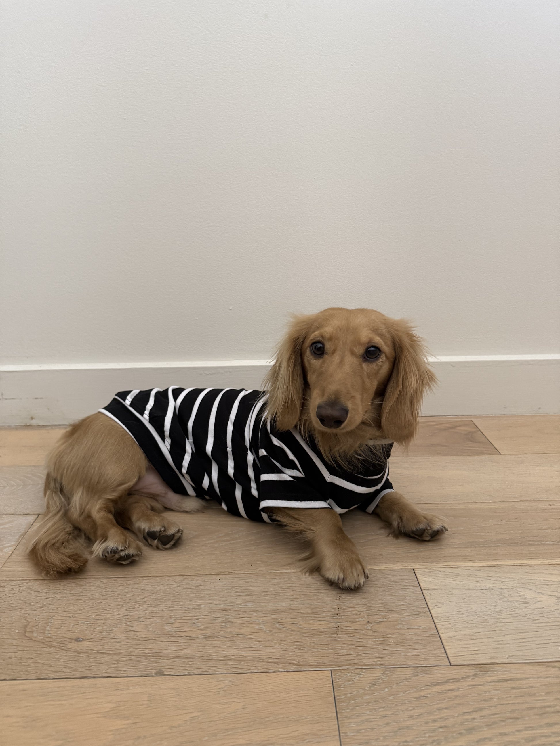 Brown Sugar & Charcoal Striped Dog Sweater - Smallboy