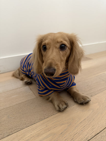 Bright Stripes Duo Dog Sweater - Smallboy