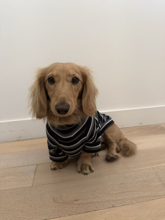 Monochrome & Mocha Dog Sweater - Smallboy