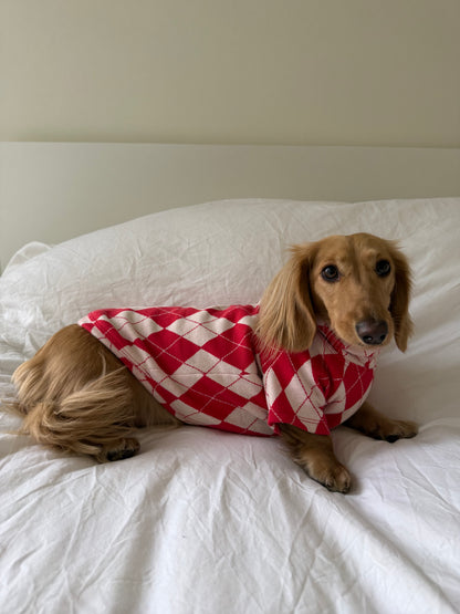 North Pole Dog Sweater