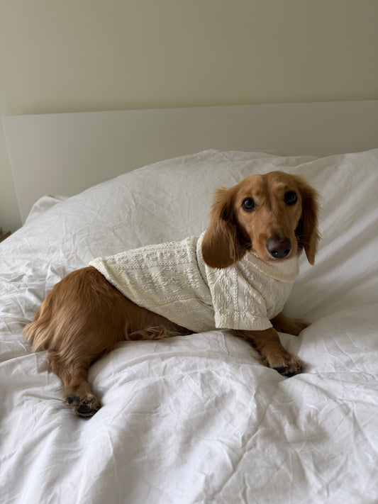 Vanilla Bean Dog Sweater