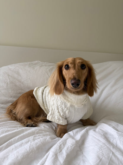 Vanilla Bean Dog Sweater
