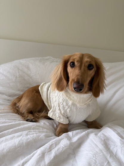 Vanilla Bean Dog Sweater