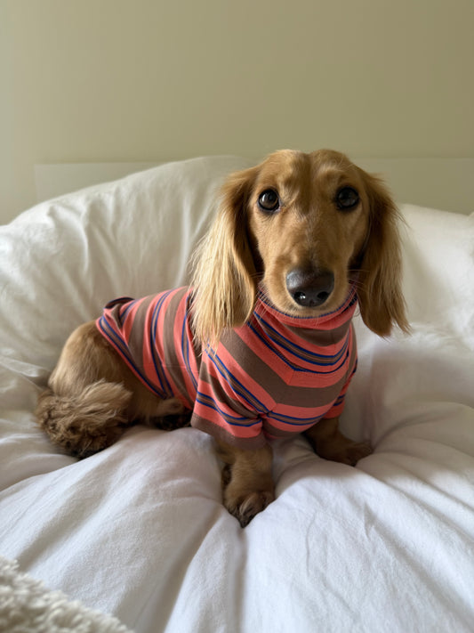 Sugar Cookie Dog Shirt