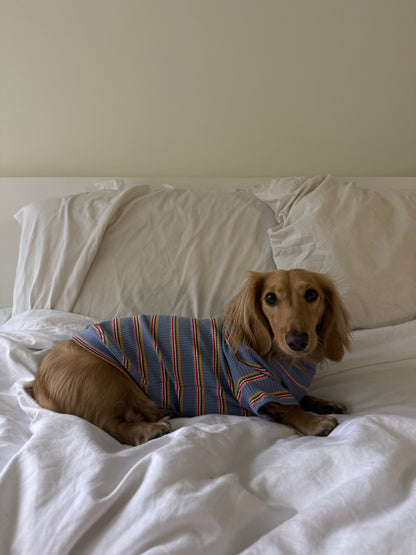 Frosted Berry Dog Shirt