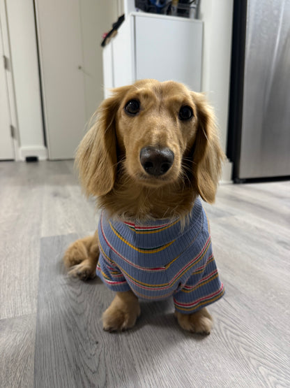 Frosted Berry Dog Shirt