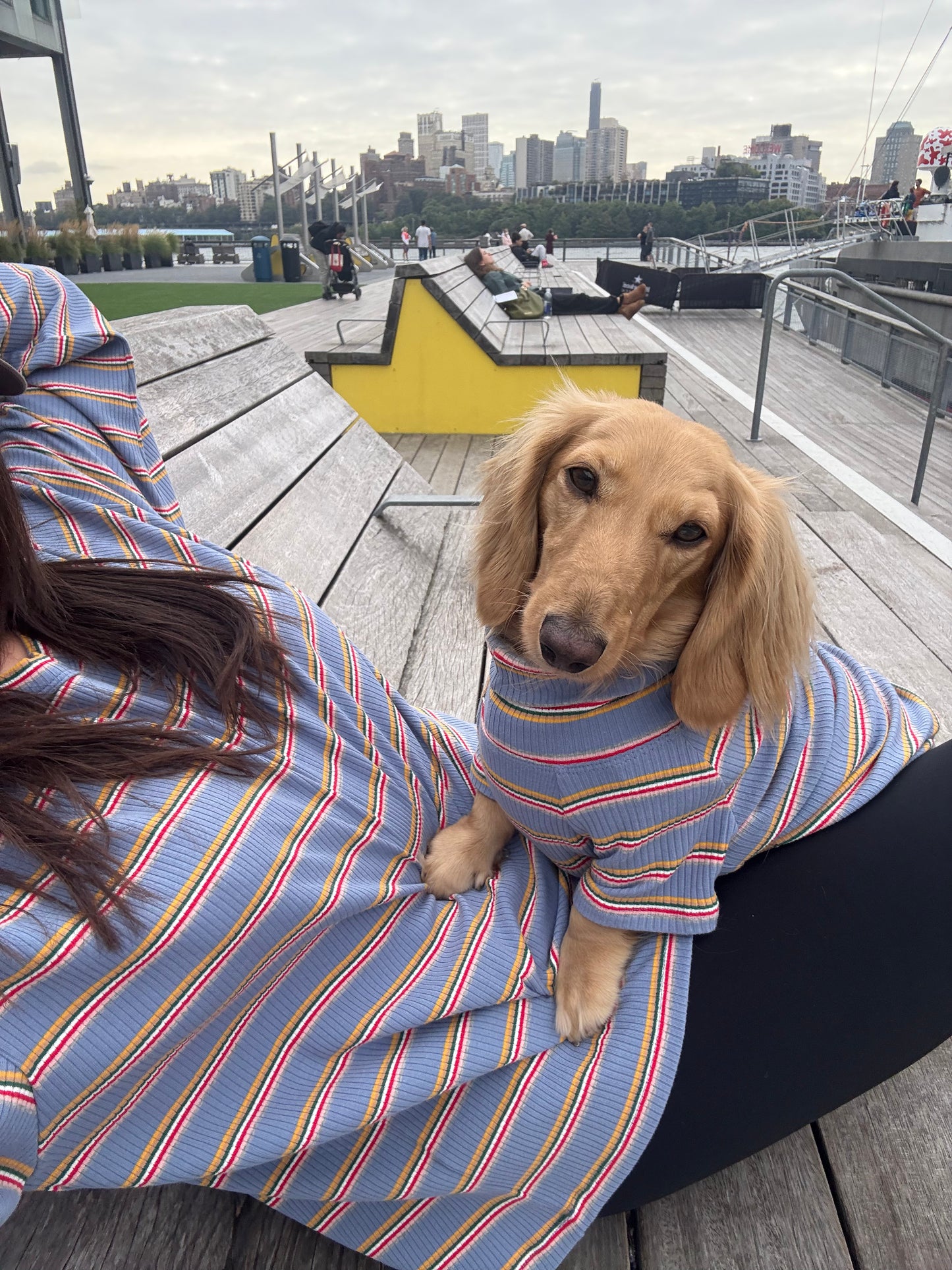 Frosted Berry Dog Shirt