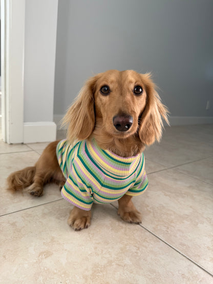 Pistachio Stripe Dog Shirt