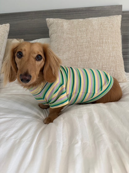 Pistachio Stripe Dog Shirt