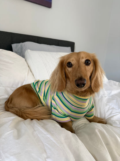 Pistachio Stripe Dog Shirt