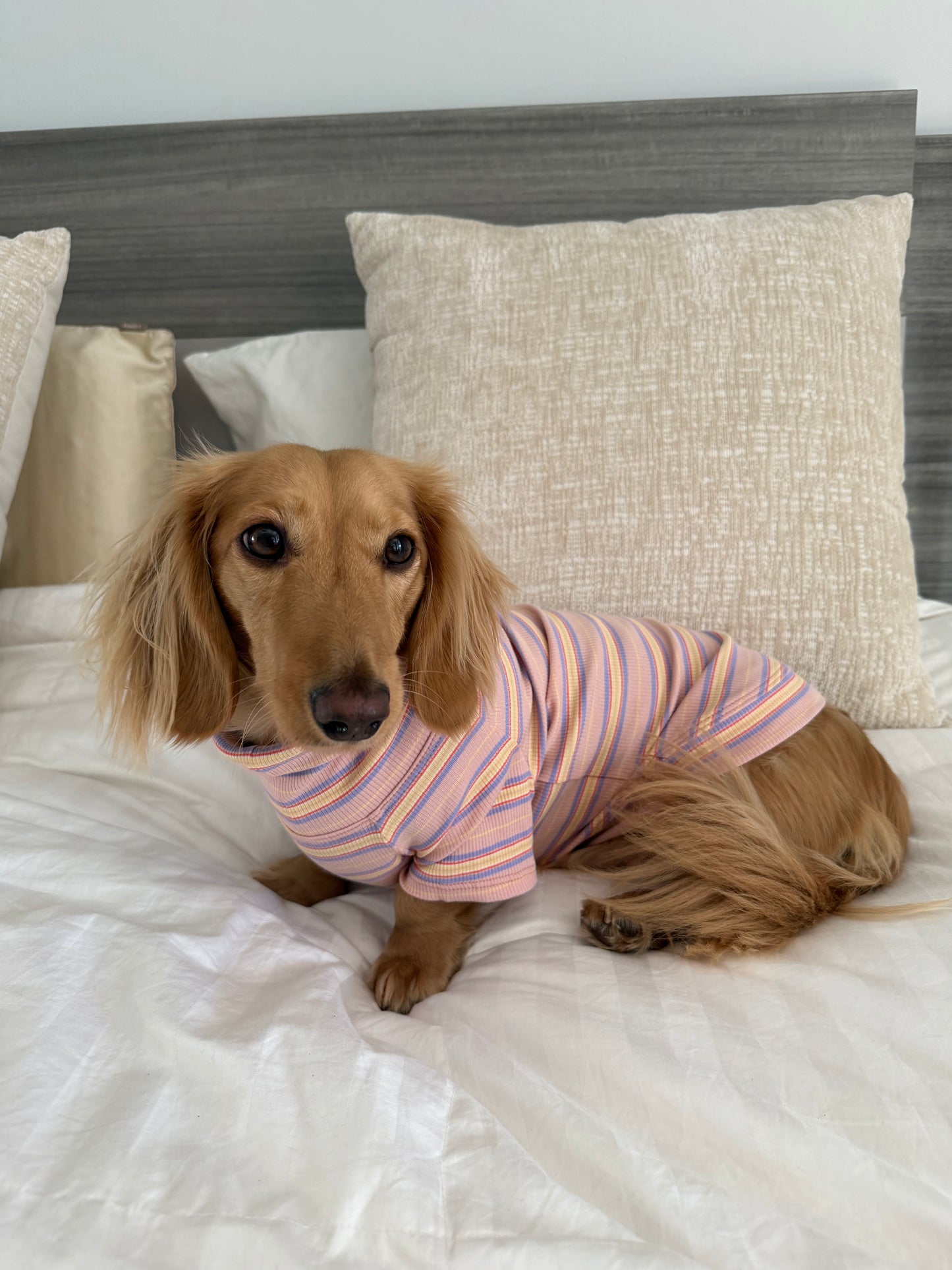 Sunset Sorbet Matching Set