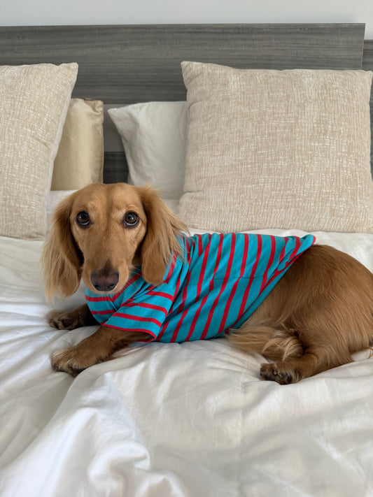 Blue Bubblegum Dog Sweater