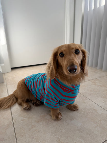 Blue Bubblegum Dog Sweater