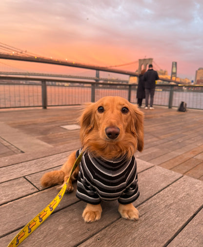 Monochrome & Mocha Dog Sweater