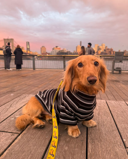Monochrome & Mocha Dog Sweater