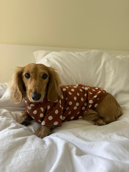 Polka Dot Dog Sweater