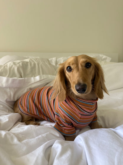 Cinnamon Swirl Dog Shirt