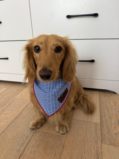 Star-Spangled Pup Bandana