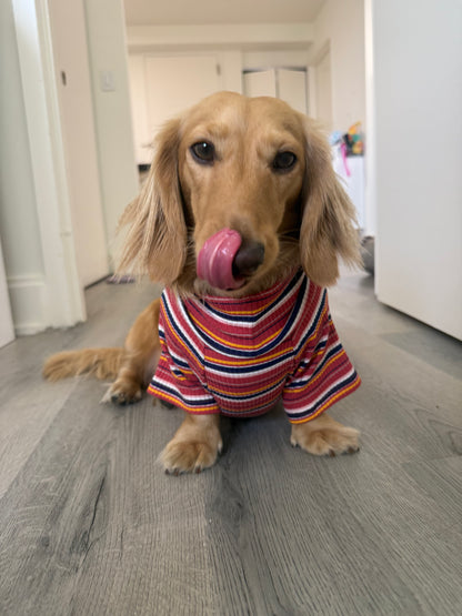Cranberry Harvest Dog Shirt