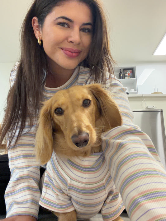 Frosted Cupcake Matching Set