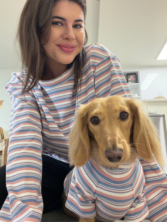 Blueberry Muffin Matching Set