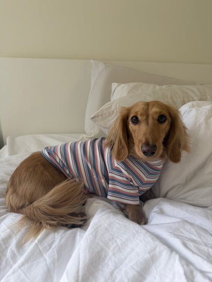 Blueberry Muffin Dog Shirt