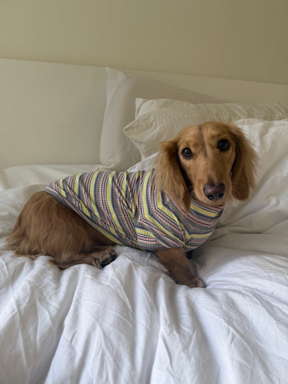 Lemon Drop Dog Shirt