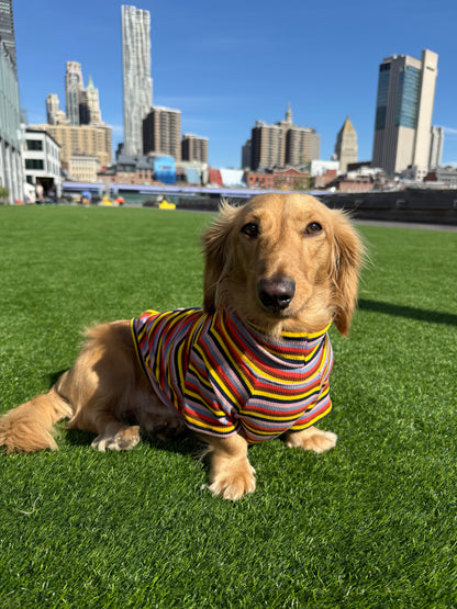 Roller Disco Dog Shirt