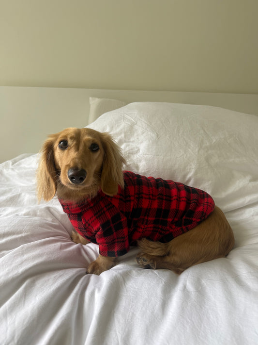 Campfire Coat Dog Sweater