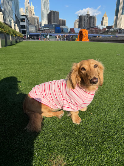 Strawberry Milk Dog Shirt